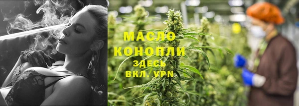 дмт Бородино