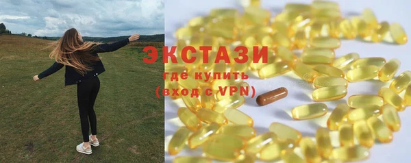 индика Бугульма
