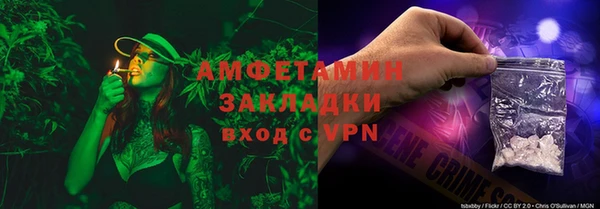 индика Бугульма