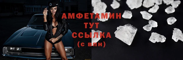 дмт Бородино