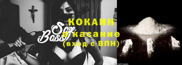 индика Бугульма