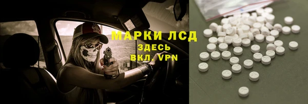 индика Бугульма