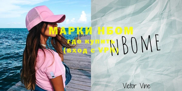дмт Бородино