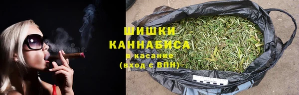индика Бугульма