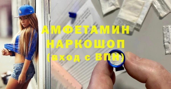 дмт Бородино