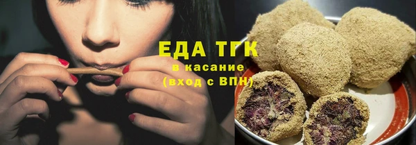 дмт Бородино