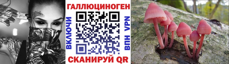 Псилоцибиновые грибы GOLDEN TEACHER  Купить где  Ермолино 
